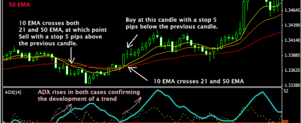 1 minute daily forex review