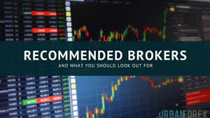 How to Choose the Best Forex Brokers